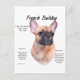 Postal Diseño de historia del Bulldog francés