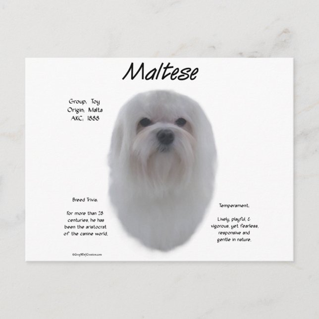 Postal Diseño de historia maltesa (Anverso)