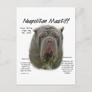 Postal Diseño de historia napolitana de Mastiff (tawny)