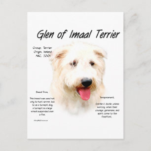 Postal Diseño de Historia Terrier Irmaal