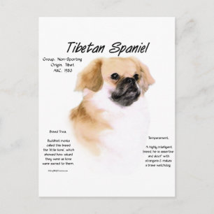 Postal Diseño de historia tibetana española