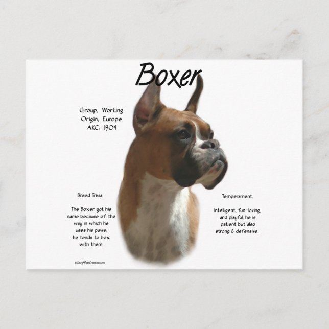 Postal Diseño de historial de Boxer (fawn) (Anverso)
