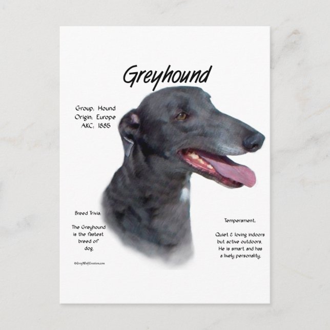 Postal Diseño de historial de Greyhound (Anverso)
