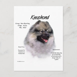Postal Diseño de historial de Keeshond