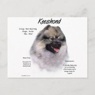 Postal Diseño de historial de Keeshond
