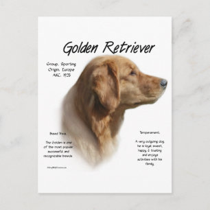 Postal Diseño de historial de recuperador de oro
