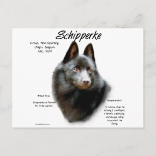 Postal Diseño de historial de Schipperke