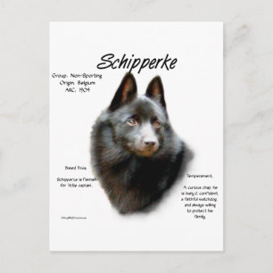 Postal Diseño de historial de Schipperke