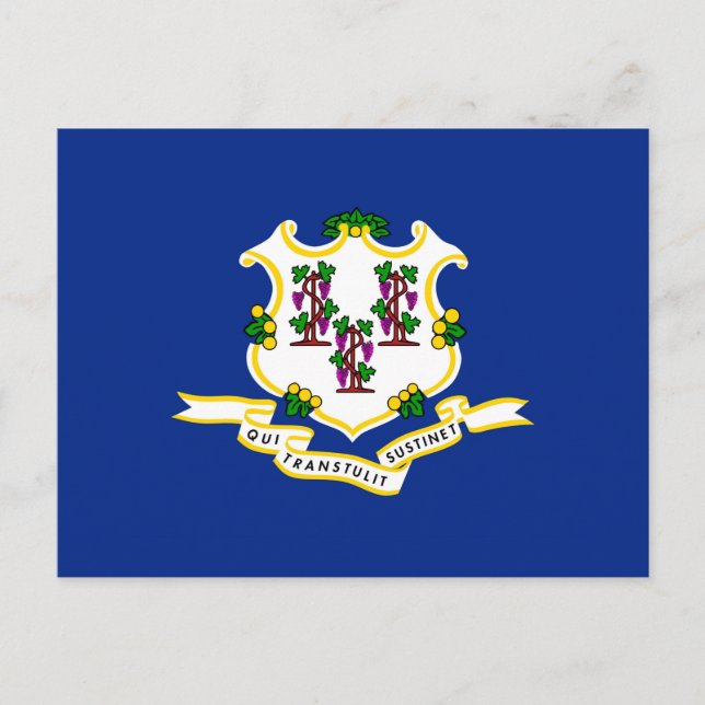 Postal Diseño de la bandera de estado de conexión (Anverso)