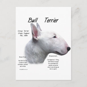 Postal Diseño de la historia de Bull Terrier (qué)