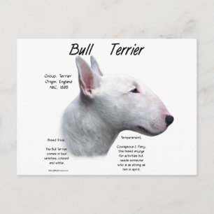 Postal Diseño de la historia de Bull Terrier (qué)