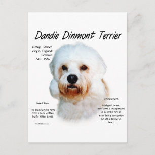 Postal Diseño de la historia de Dandie Dinmont Terrier