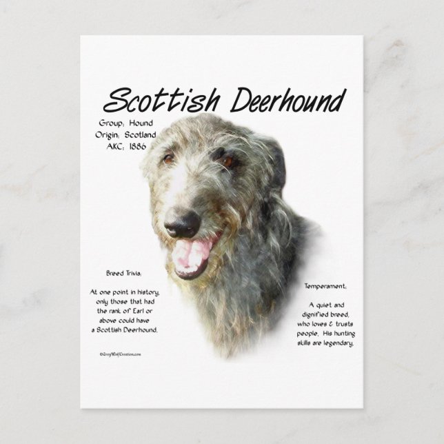 Postal Diseño de la historia de los erhound en Escocia (Anverso)