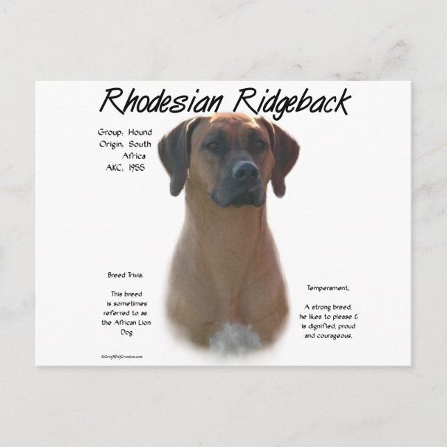 Postal Diseño de la historia de Ridgeback en Rodesia (Anverso)