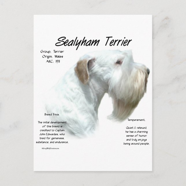 Postal Diseño de la historia de Sealyham Terrier (Anverso)
