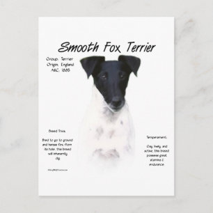Postal Diseño de la historia de Smooth Fox Terrier