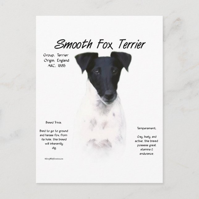 Postal Diseño de la historia de Smooth Fox Terrier (Anverso)
