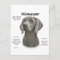Diseño de la historia de Weimaraner