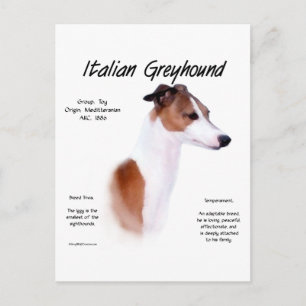 Postal Diseño de la historia del Greyhound en Italia
