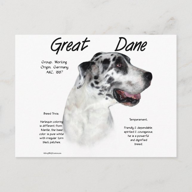 Postal Diseño de la historia del Harlequin Great Dane (Anverso)