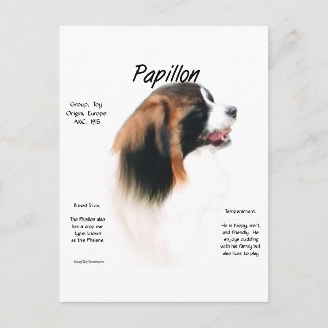 Postal Diseño de la historia del papilón (faleno) (Anverso)