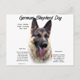 Postal Diseño de la historia del perro pastor alemán (est