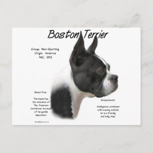 Postal Diseño de la historia del territorio de Boston