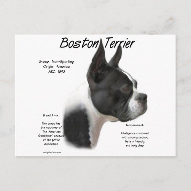 Postal Diseño de la historia del territorio de Boston (Anverso)