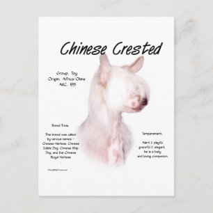 Postal Diseño de la historia en la cresta (sin pelo) de C