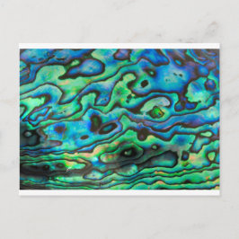 Postal Diseño de la naturaleza pauta cáscara de abulón