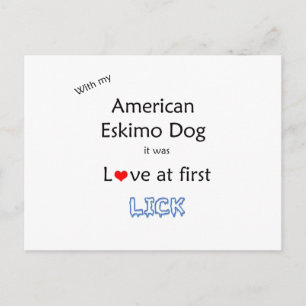 Postal Diseño de lápiz de perro esquimal estadounidense