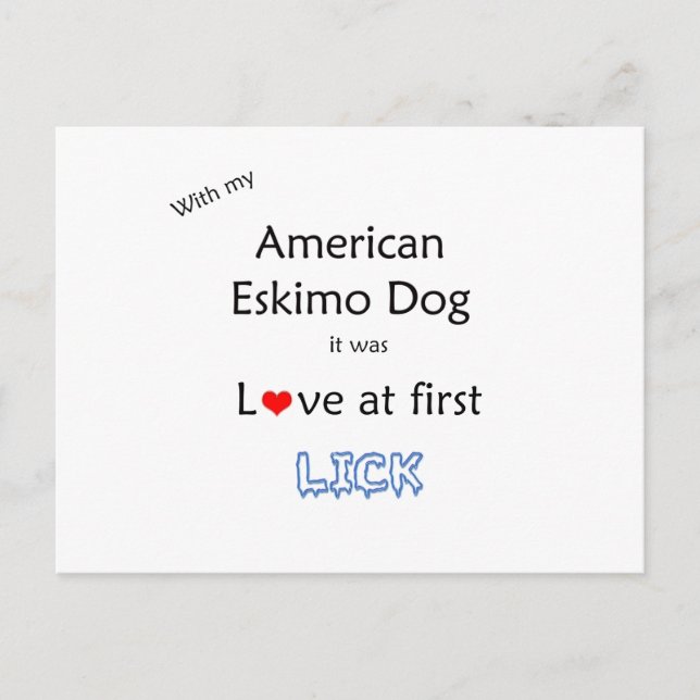 Postal Diseño de lápiz de perro esquimal estadounidense (Anverso)