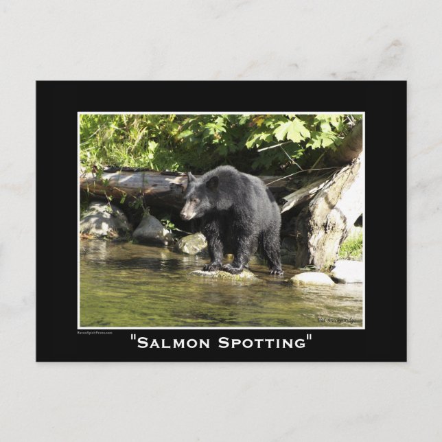 Postal Diseño de los amantes de la fauna salvaje (Anverso)