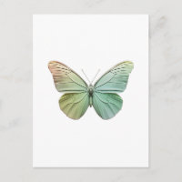 Diseño de mariposa minimalista elegante moderno