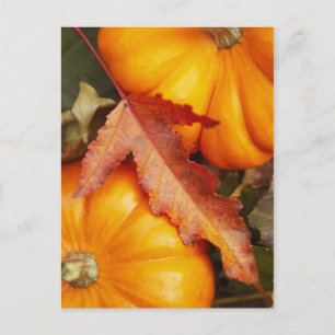 Postal Diseño de noviembre