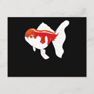 Postal Diseño de Océano de Peces Ballena Natando Foca Div