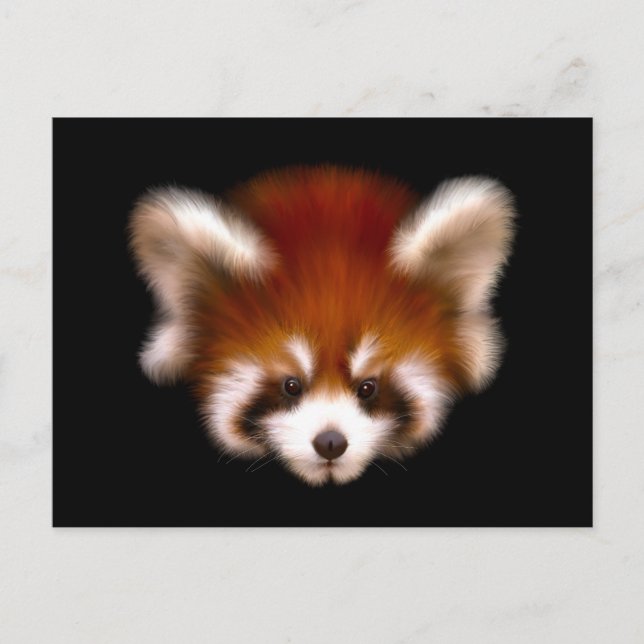 Postal Diseño de Panda Rojo (Anverso)