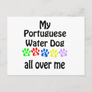 Postal Diseño de paseos por el agua en Portugal