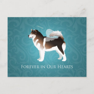Postal Diseño de pérdida de Mascota en Malamute