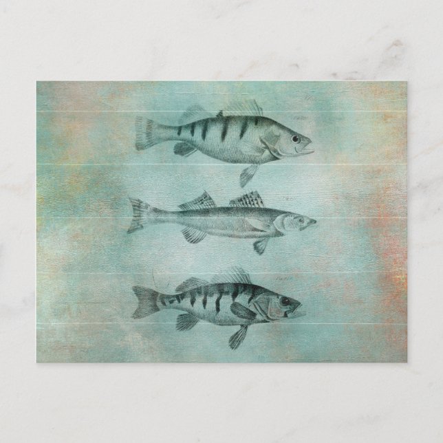 Postal Diseño de pescado con textura de madera (Anverso)