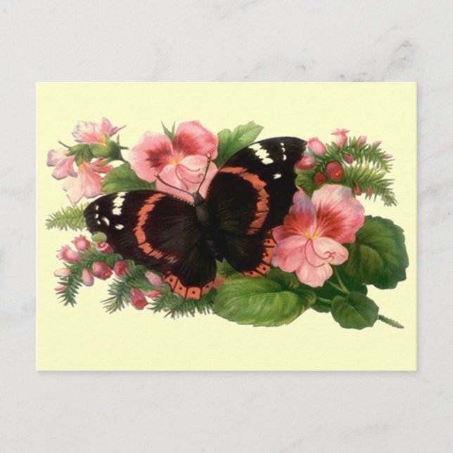 Postal Diseño de Regalos de Jardín Floral de Mariposa y D (Anverso)