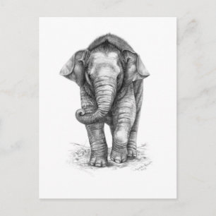Postal Diseño del bebé elefante por Schukina G046