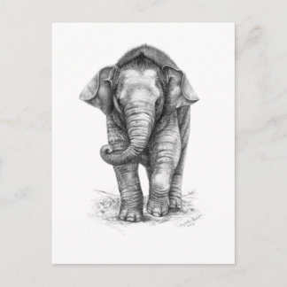 Postal Diseño del bebé elefante por Schukina G046