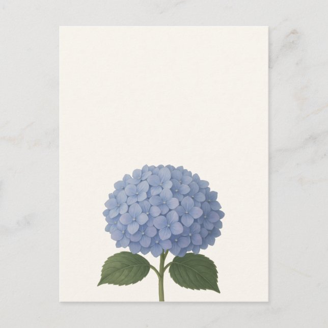 Postal Diseño del Ilustracion botánico Blue Hydrangea (Anverso)