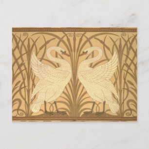 Postal Diseño del papel pintado del cisne