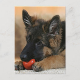 Postal Diseño del perro de pastor alemán