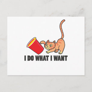 Postal Diseño Divertido de Gato Gatos Lindos Pata Mascota