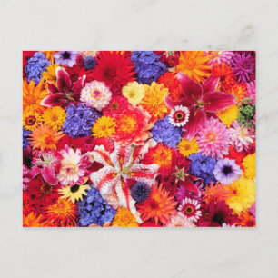 Postal Diseño floral de Dalhia, Oriental Lilies,
