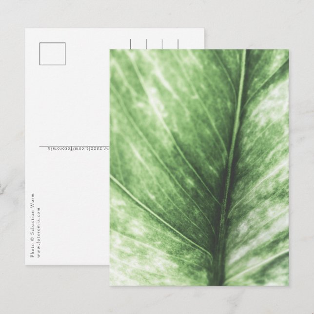 Postal Diseño floral de hoja verde brillante (Anverso / Reverso)