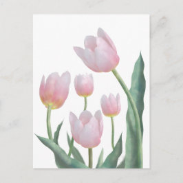 Postal Diseño floral de tulipán pastel